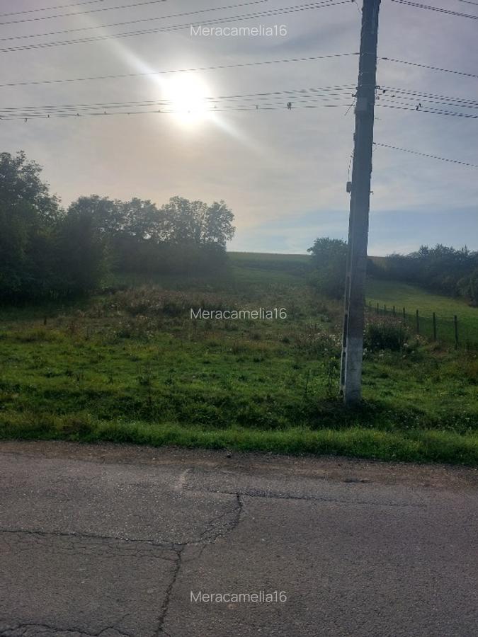 Teren intravilan sat Hărțău comuna Pănet - 4 Teren intravilan sat Hărțău comuna Pănet - 4