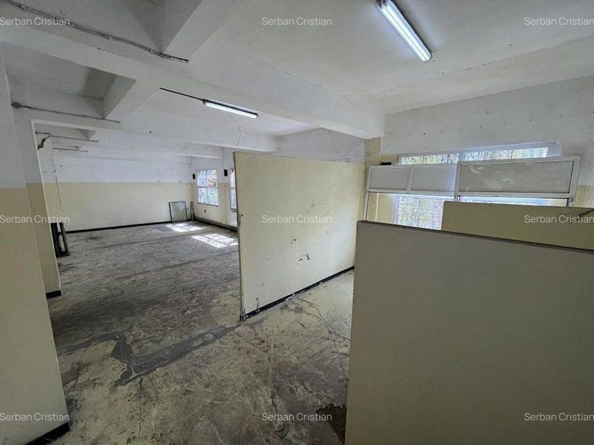 Drumul Intre Tarlale spatiu productie 400-1500 mp - 4