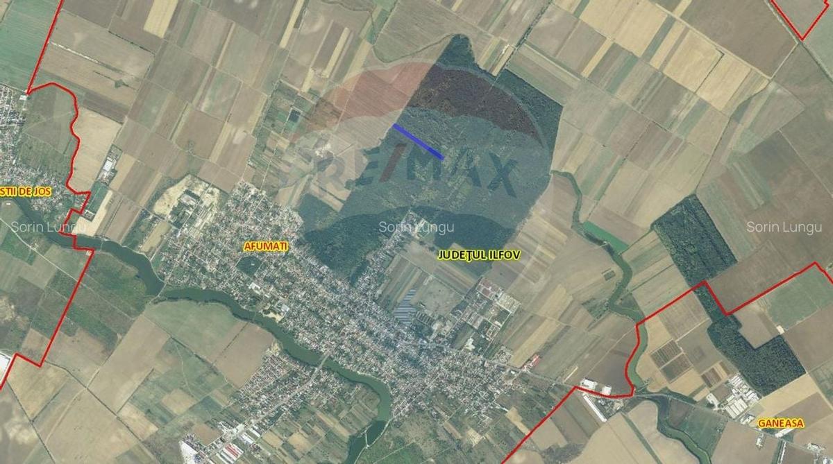 Teren 10,000mp Afumati | Padure | Soseaua Petrachioaia - 2 Teren 10,000mp Afumati | Padure | Soseaua Petrachioaia - 2