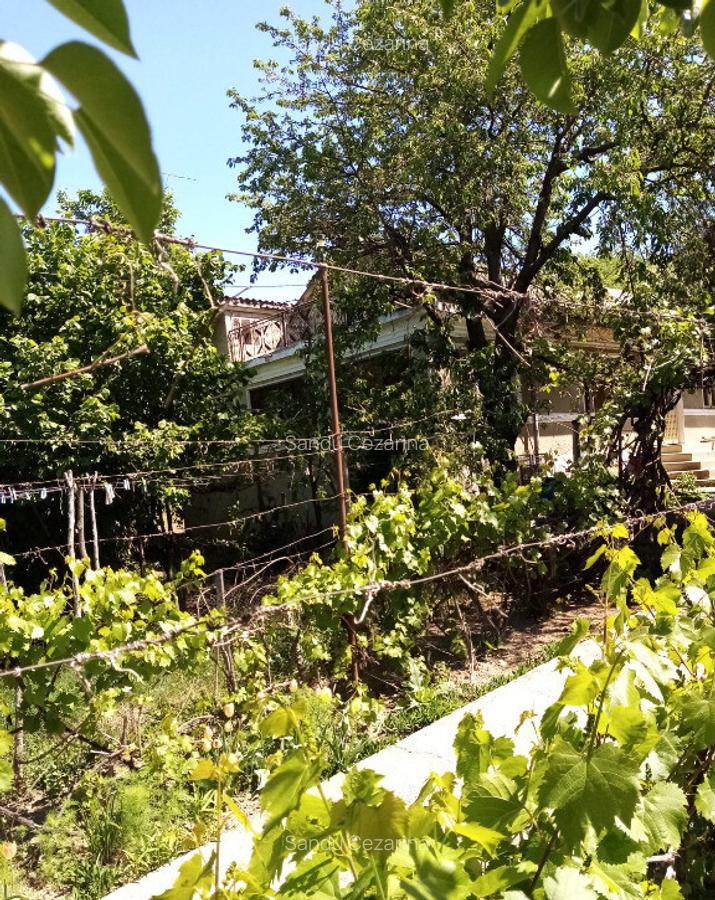 Casa in Zorleni la 5 km de Barlad - 7