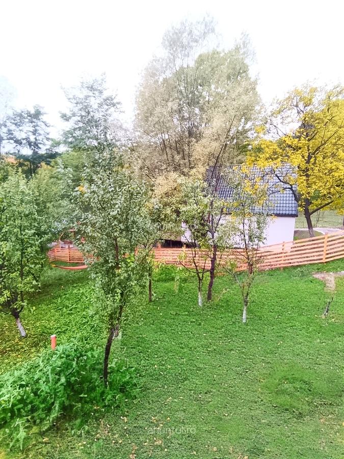 Campina, Valea Prahovei, Valea Doftanei - 2 Campina, Valea Prahovei, Valea Doftanei - 2