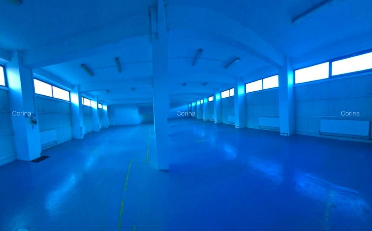 Hală modernă multifuncțională – 1.300 mp –Bucium, Iași- DE ÎNCHIRIAT - 13