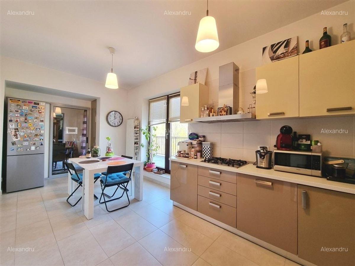Penthouse cu 5 camere decomandat, mobilat în Kiseleff - 11