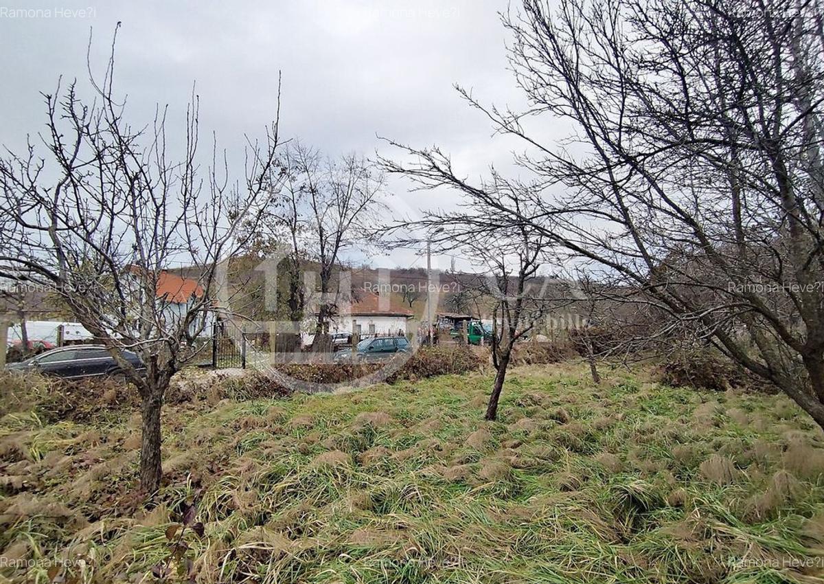 Teren intravilan de vanzare pe strada Adevarului, Oradea - 5