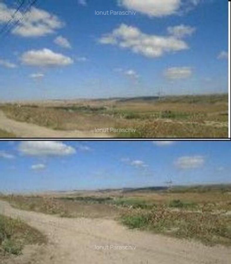 Teren extravilan cota 3/32 Smardan, ID: R2763204 - 5