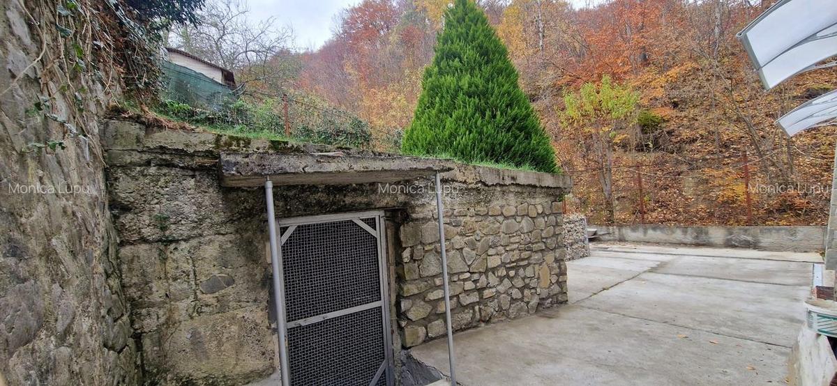 Vila spatioasa, 5 camere, Breaza, aer curat, liniste langa padure - 6