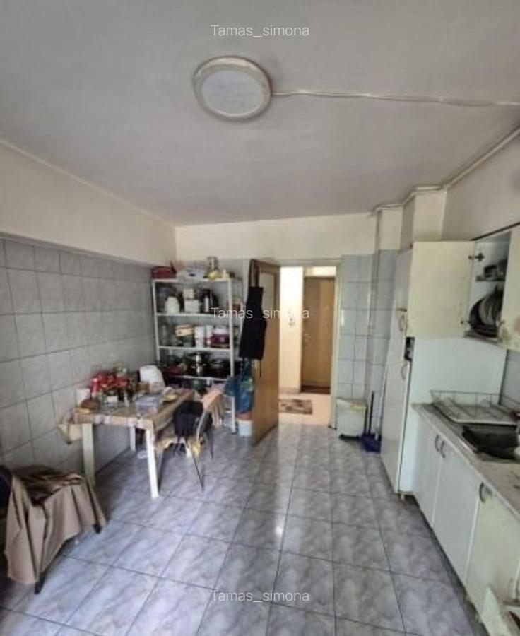 NERVA TRAIAN-OCTAVIN GOGA-APARTAMENT 2 CAMERE - 4