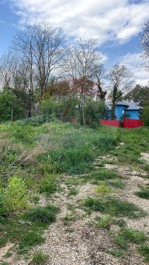 Teren Ciolpani 950 mp, intre case, utilitati la marginea terenului. - 3
