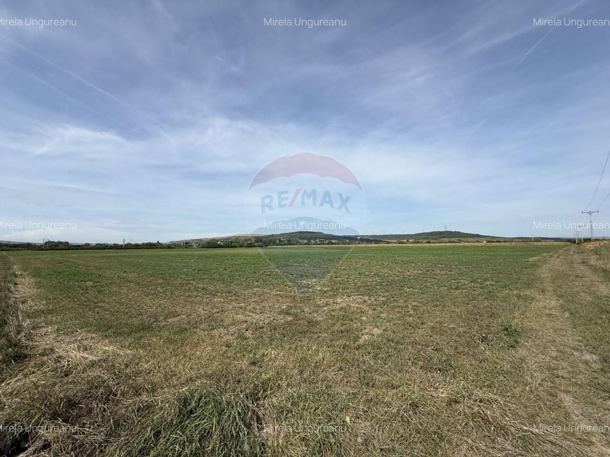 Teren Investitii 2.5 Ha | Zona Tetarom III Rascruci - 4