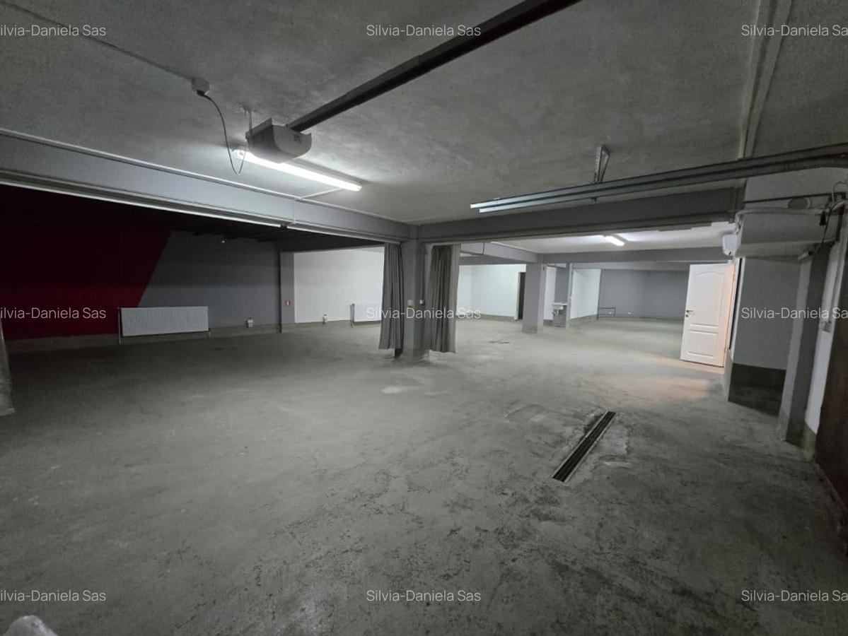 Spatiu comercial, 229 mp utili, rampa acces auto, zona Iulius Mall - 2