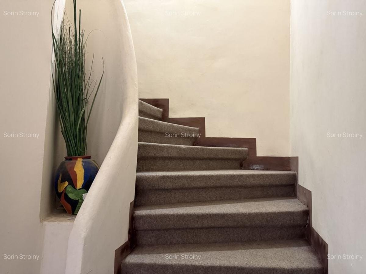 Apartament duplex superb Popa Tatu - Cismigiu - 13