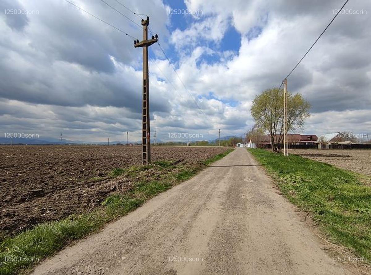 Teren intravilan 4,57 ha în Stupini - DN13. - 1