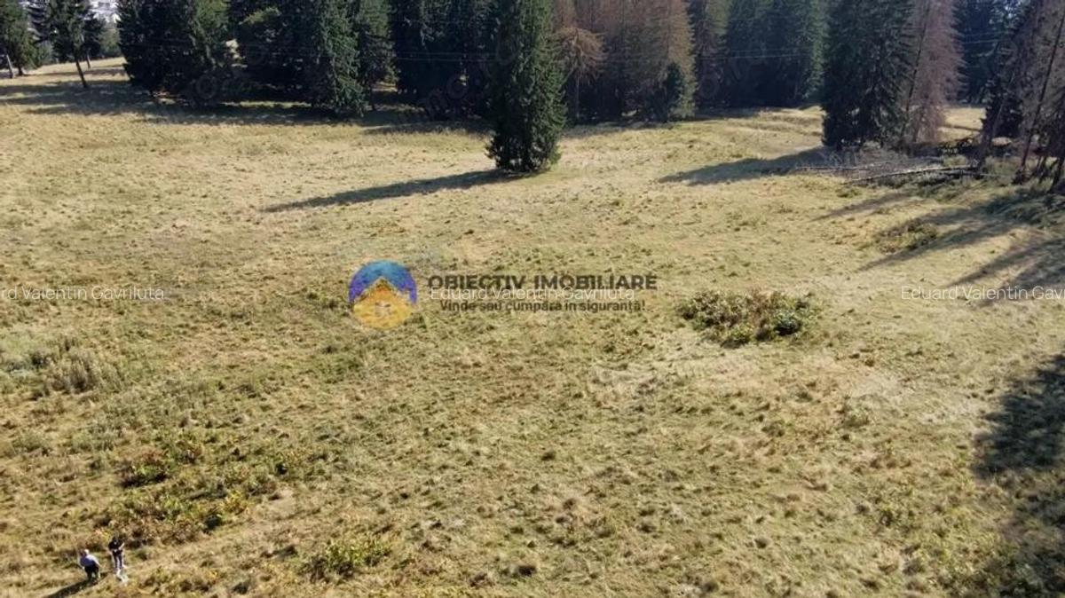 Teren de vanzare 5000 mp Piatra Neam? - 2