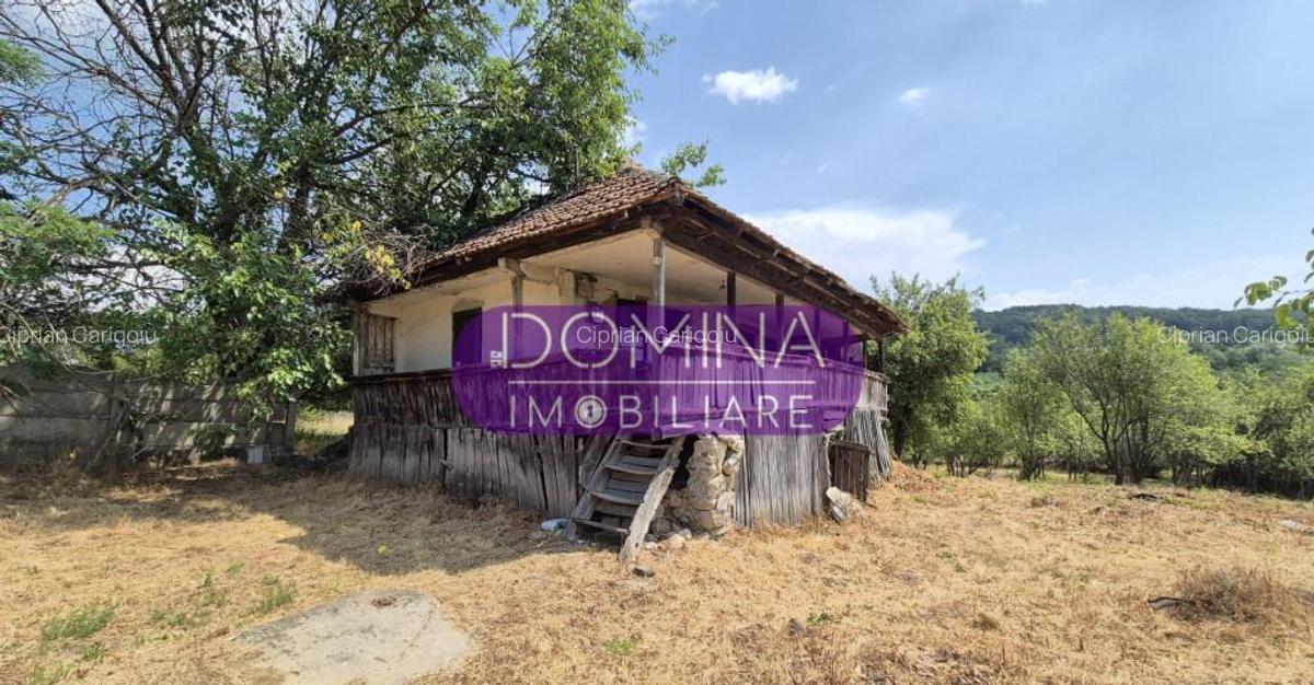 Proprietate in apropiere de complex turistic Mu?ete?ti - 4