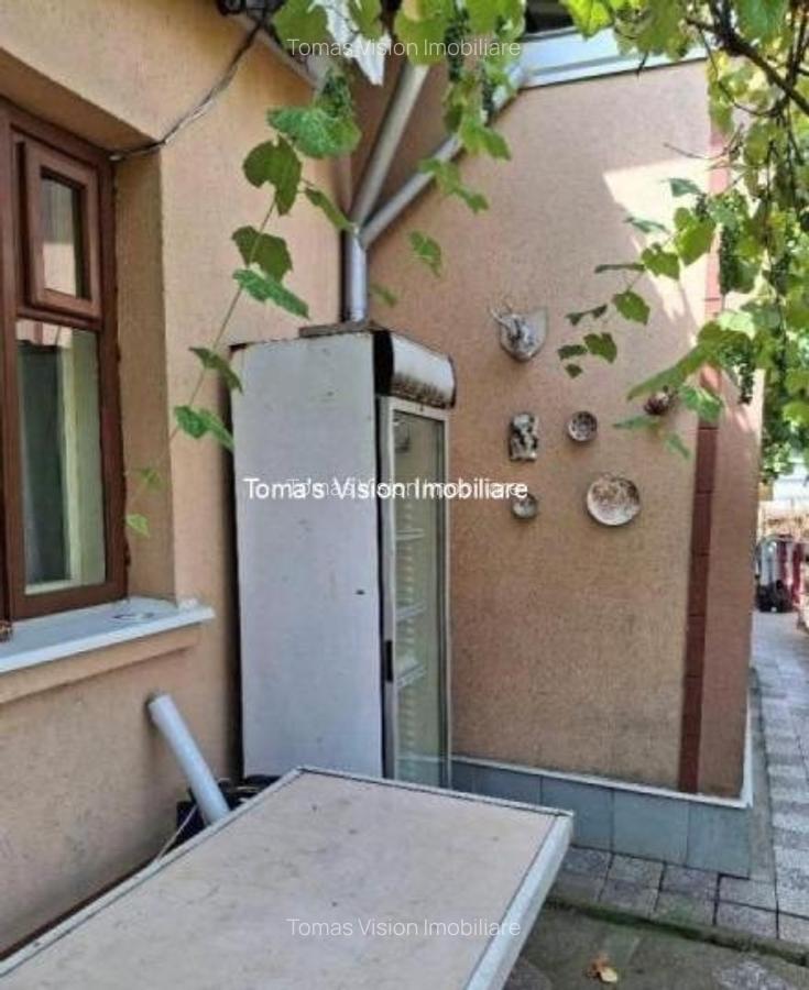 Vanzari Case / Vile Bucurestii Noi - 3