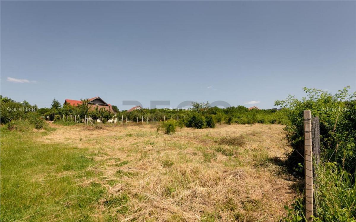 RECO Teren intravilan 1200 mp- front 30ml ,cu utilitati, Pa - 12