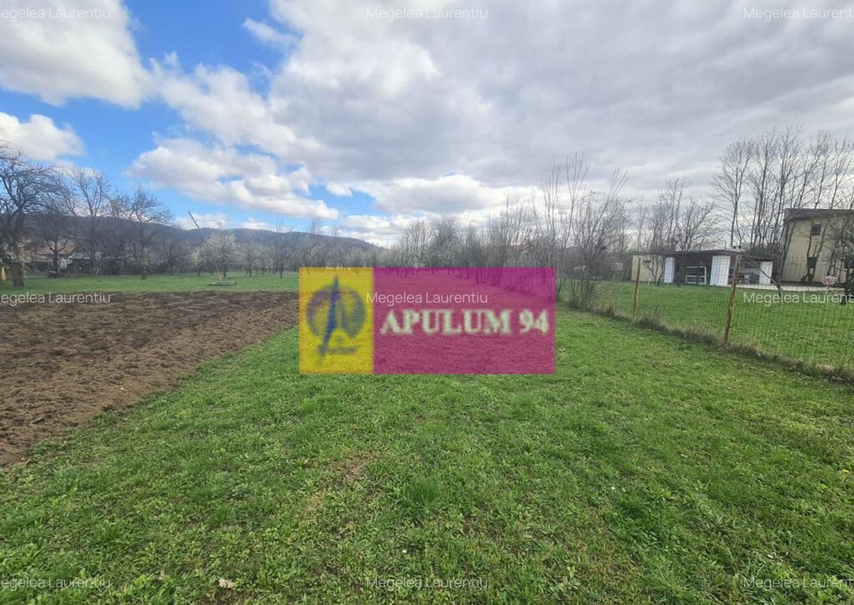 Teren de vanzare in Brebu - Zona Brebu Megiesesc - 6