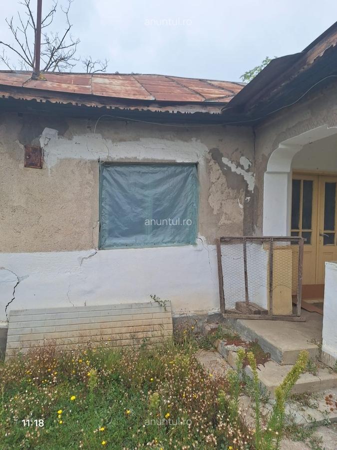 Vand casa teren 3000mp satul Gresia, Rosiorii de Vede, Teleorman - 2