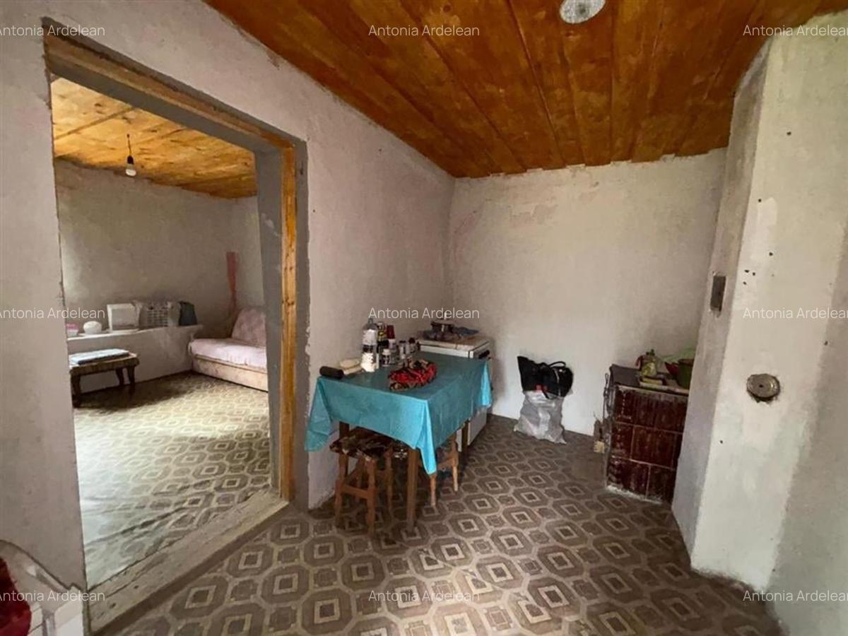 CASA SI TEREN 4.000 MP | SAT TRIA | COMUNA DERNA | JUDETUL BIHOR - 9