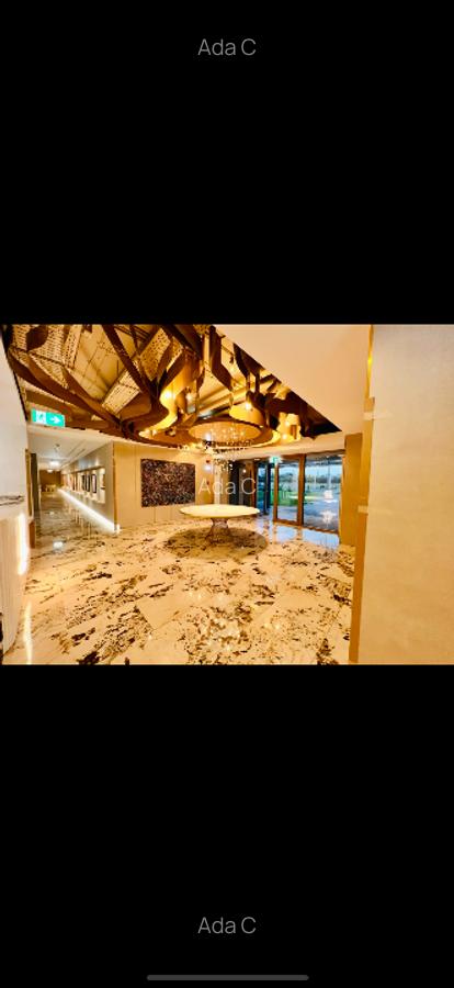 Vanzare apartament nou, mobilat si utilat gama lux - 8