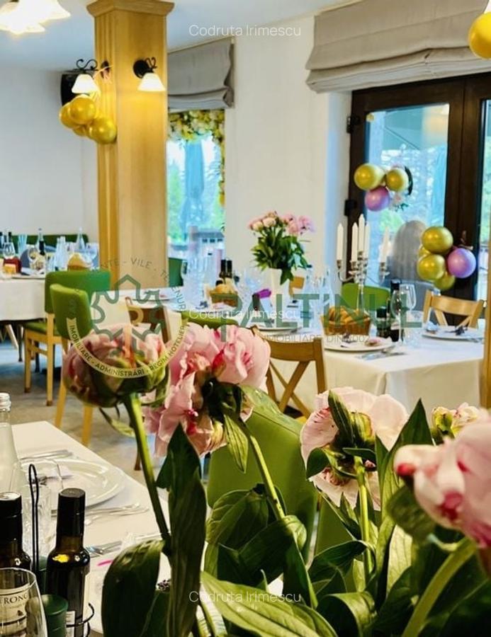 Afacere la Cheie - Pensiune 12 camere în Păltiniș - 9