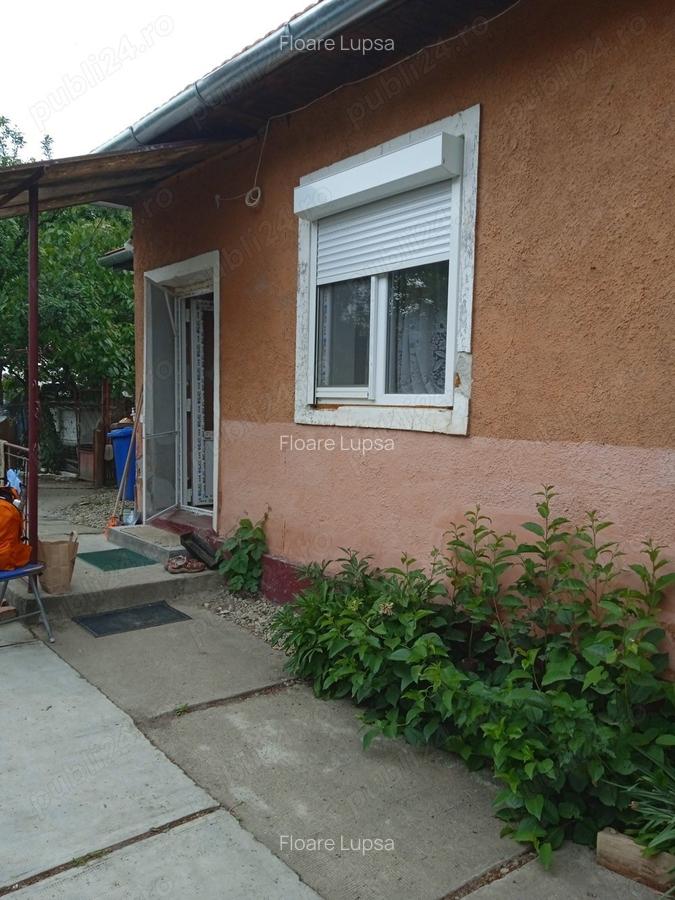 Casa vanzare seleus - 5