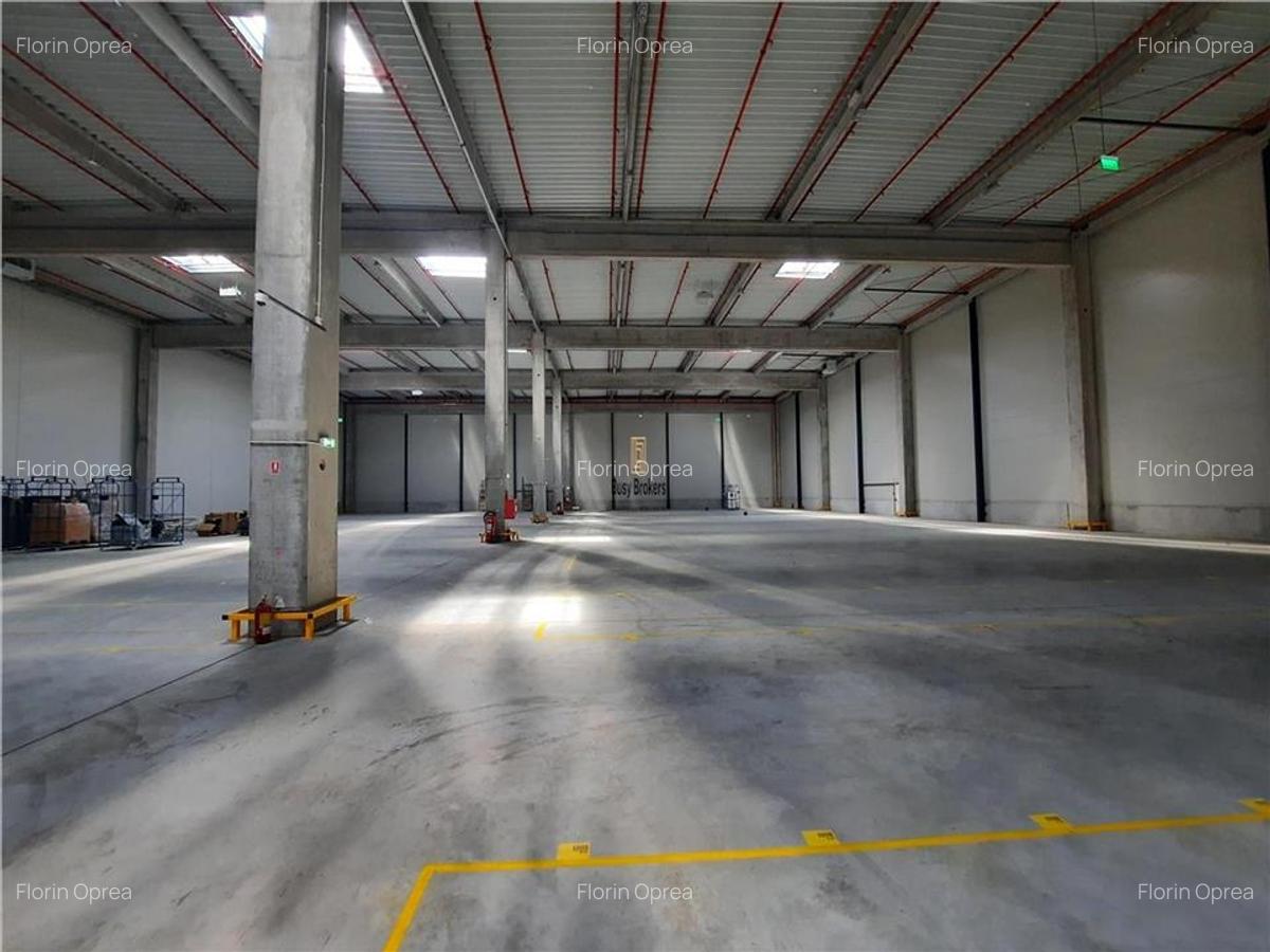 Spatiu Industrial - 3000 mp - Logistica - Productie - Depozitare - 1