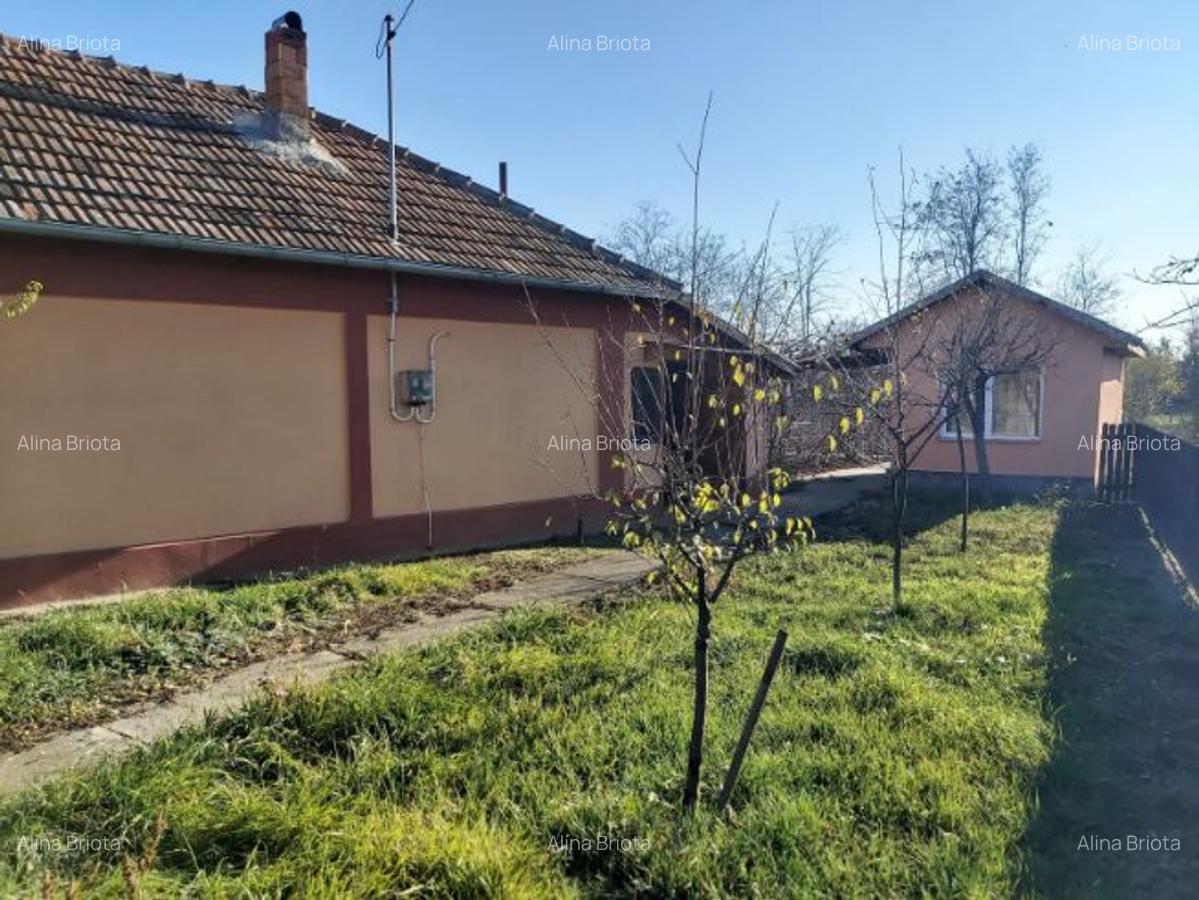 Casa plus teren Andrasesti - 3
