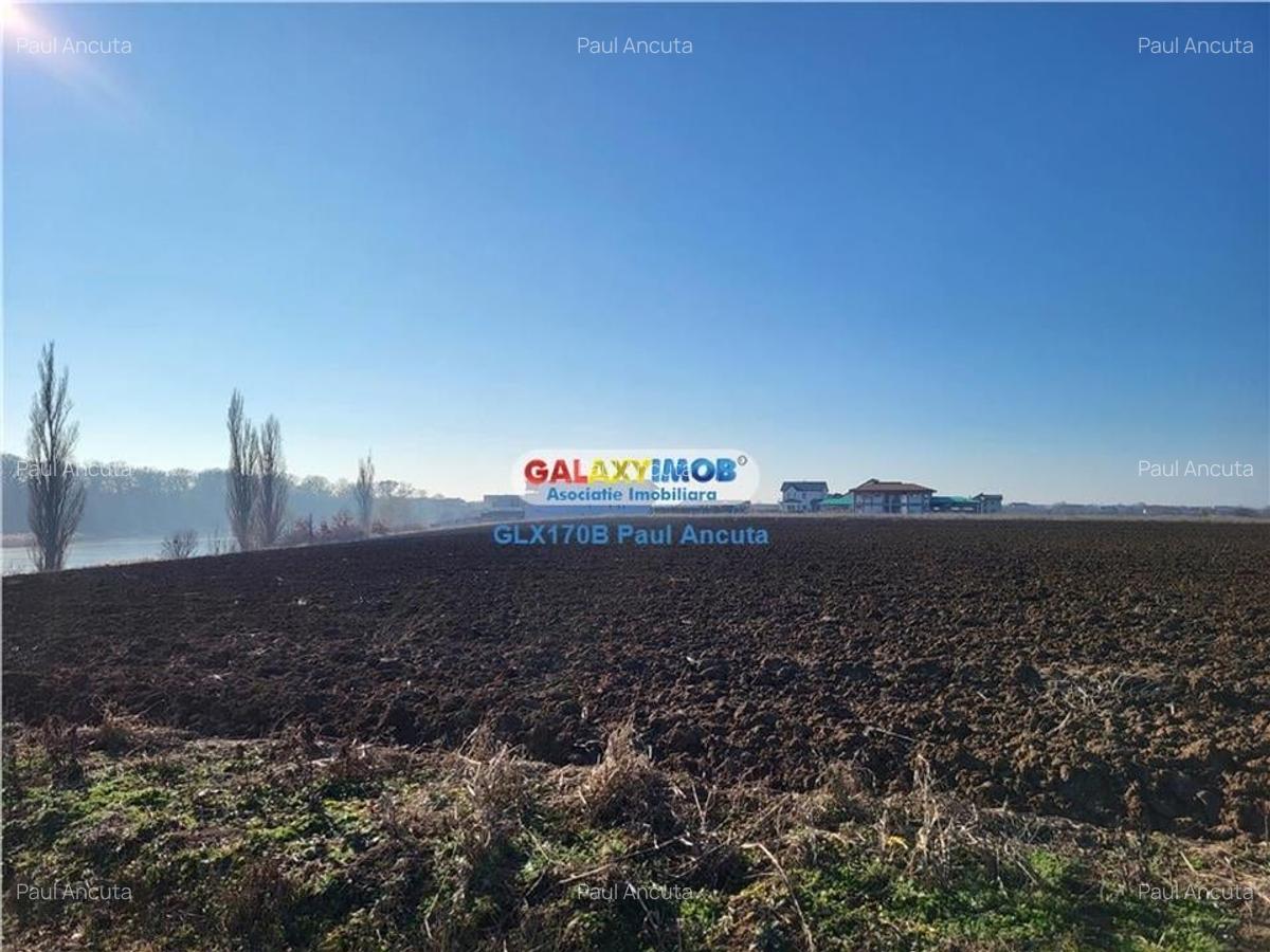 Teren Balotesti 4 loturi casa  1080 mp fiecare cu vedere la Lac - 1