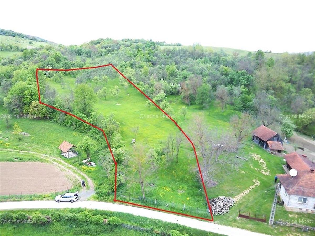 Teren in Apuseni Tebea - 4