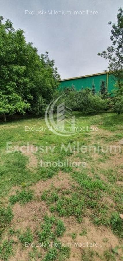 Casa la Padurea Rosu 650Mp + Teren ideal Activitati Comerciale/Birouri - 3
