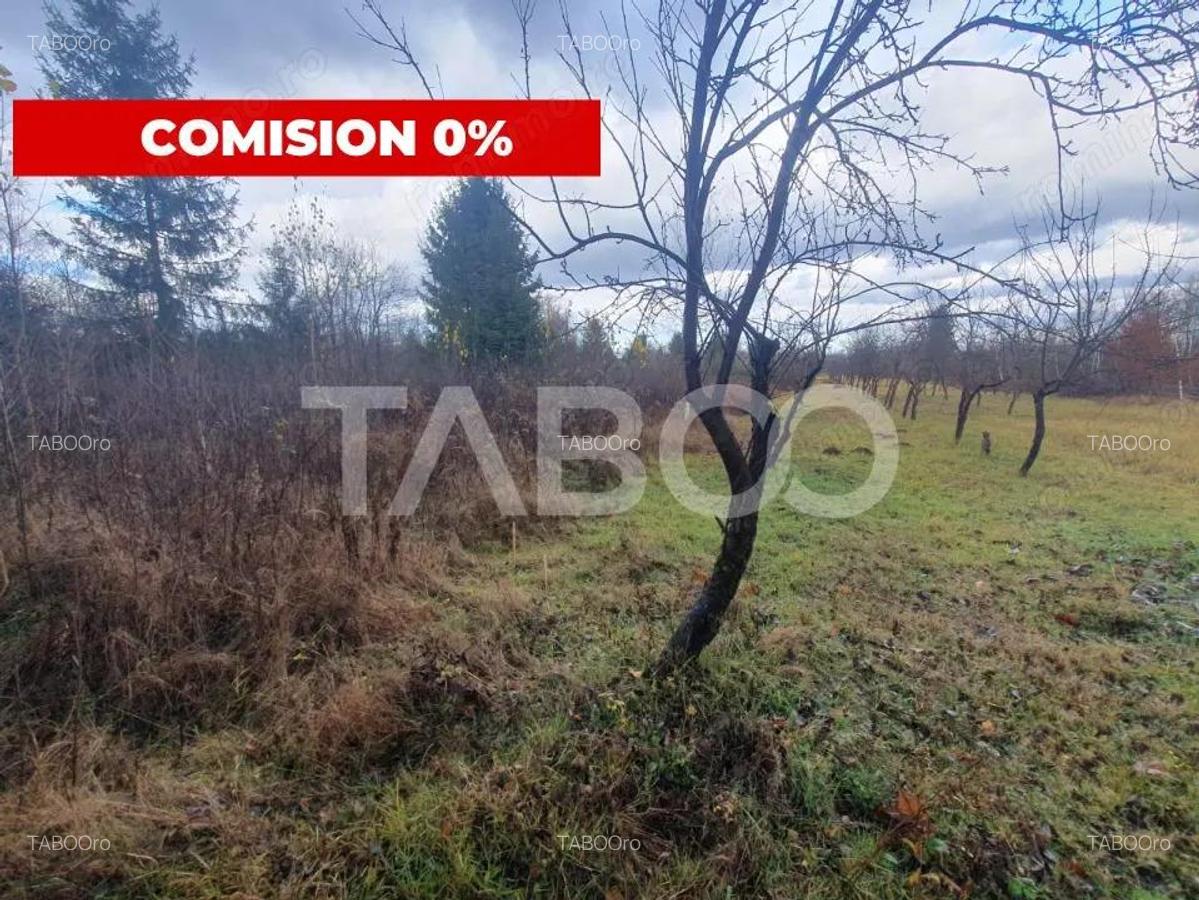 Teren extravilan 1000 mp Statiunea Climaterica Sambata de Sus - 1