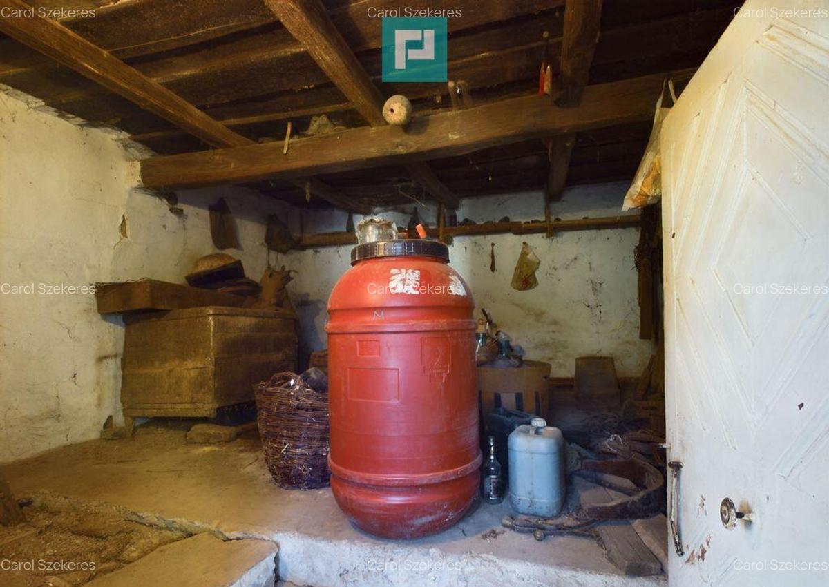 Casa de vacan?a de vanzare in Tau? - 22