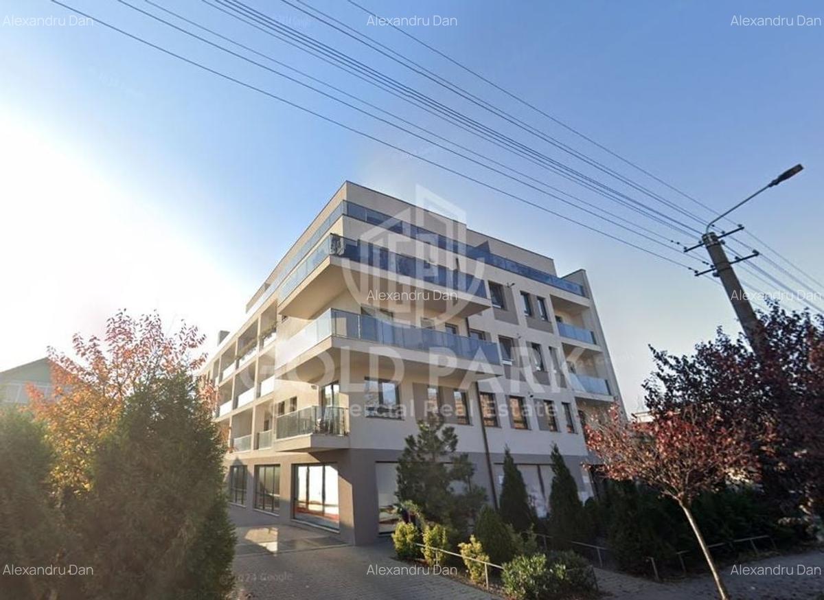 Spatiu Comercial - Marasti - Vitrina la Strada - 441 mp - 4