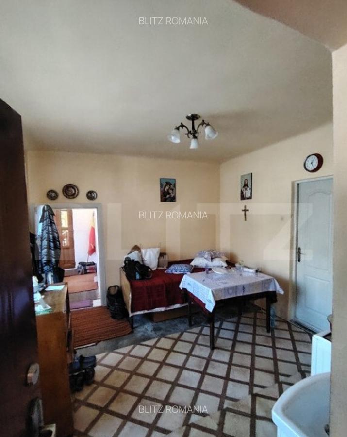 Casa tradi?ionala cu 3 camere, teren mare ?i gradina i - 10