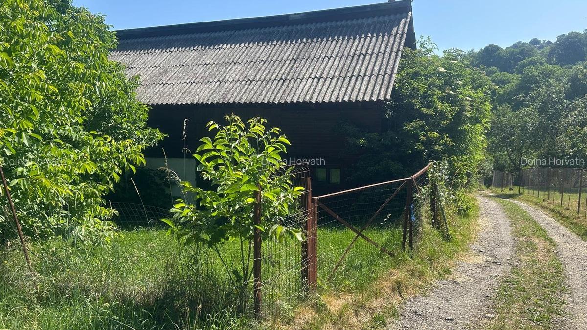 Casa din barne de lemn - Sohodol - 3