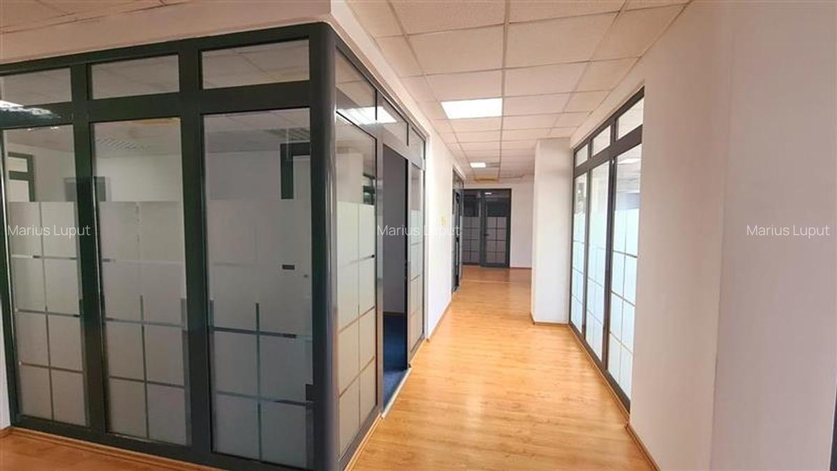 Birou, 395 mp în Badea Cârțan - 5