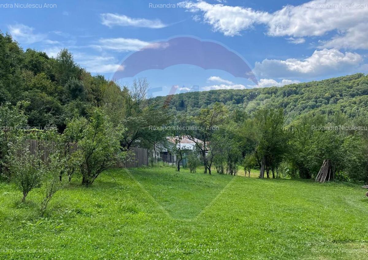 Teren intravilan (fanea?a) de vanzare 2231 mp, Te... - 2