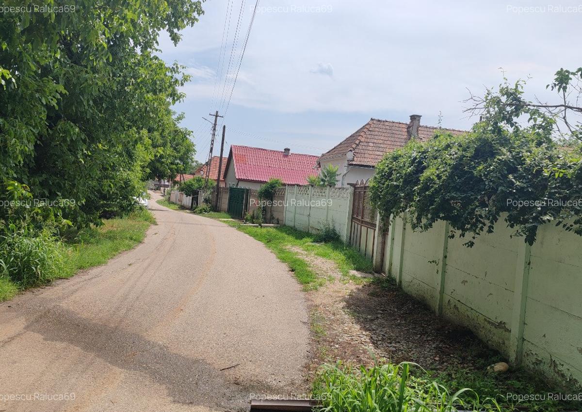 Casa langa padure-liniste, aer curat Vingard, Alba - 7