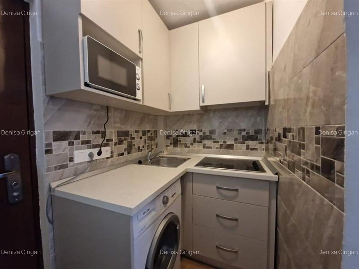 Garsoniera de inchiriat | 26 mp | Marasti | zona Expo Transilvania - 4