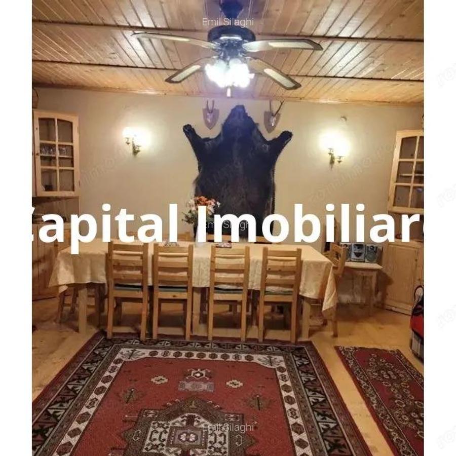 Proprietate Unica in Inima Naturii Galaoaia, Mure? - 8