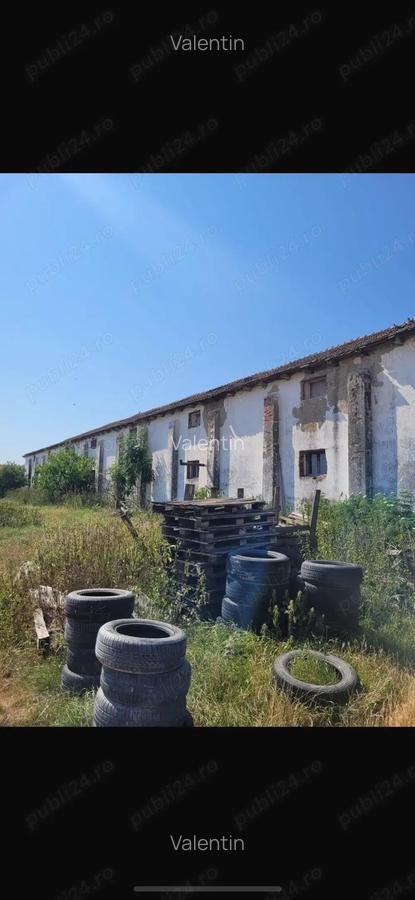 Vand hala 600 mp cu teren intravilan 9000 mp - 6