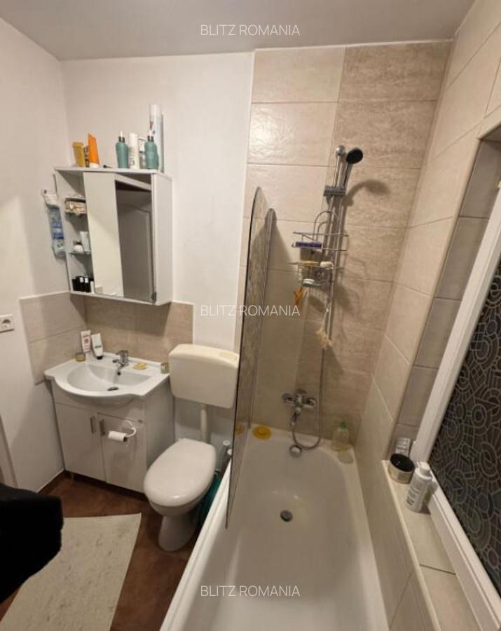 Apartament cu 3 camere/vedere superba catre Mun?ii Igni? - 14