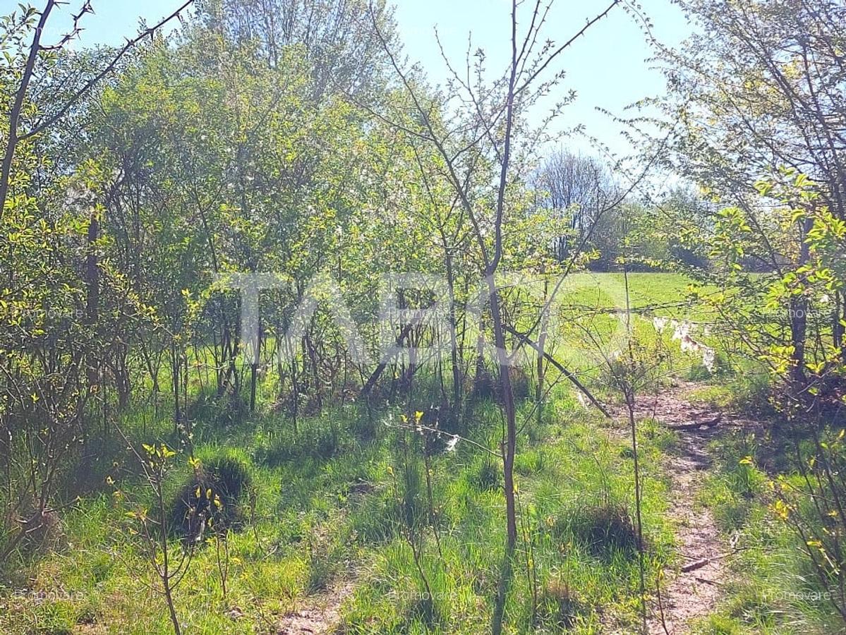 Teren intravilan 4280 mp acces la drum si utilitati zona deosebita - 4