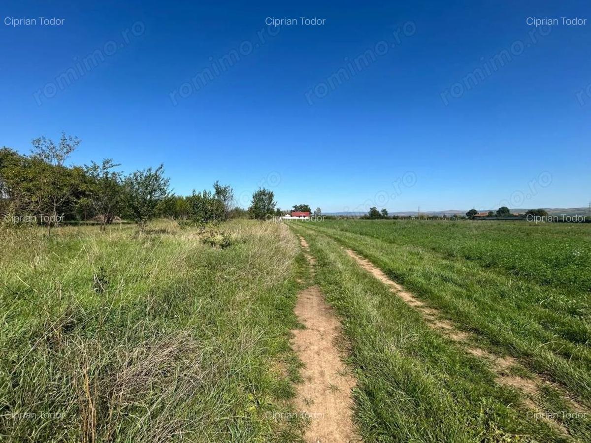 Teren intravilan, 5700mp - Teius - 5