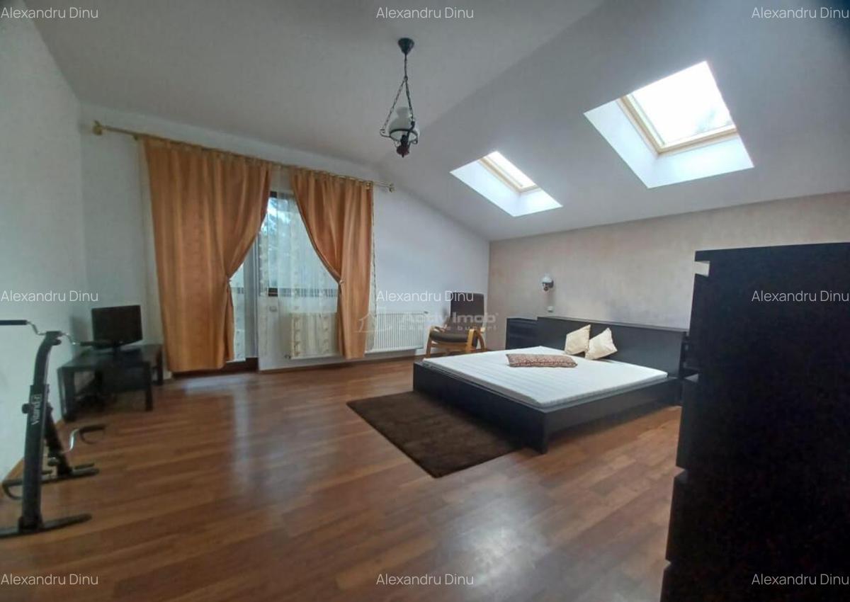 Vila Branesti 5 camere - 7