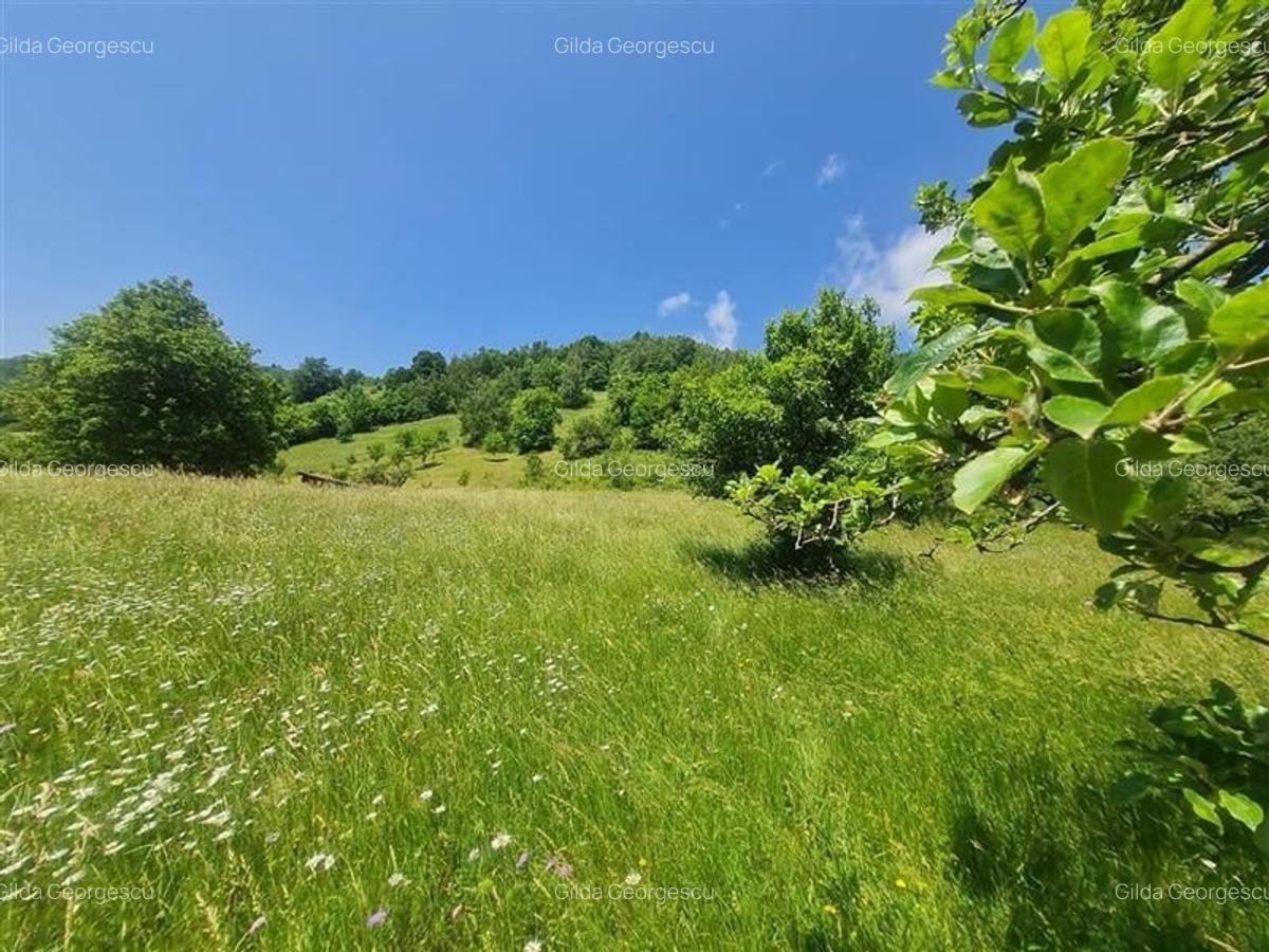 Teren de 1.450 mp, cu priveliste de carte postala, Bran, Moieciu, Brasov - 10