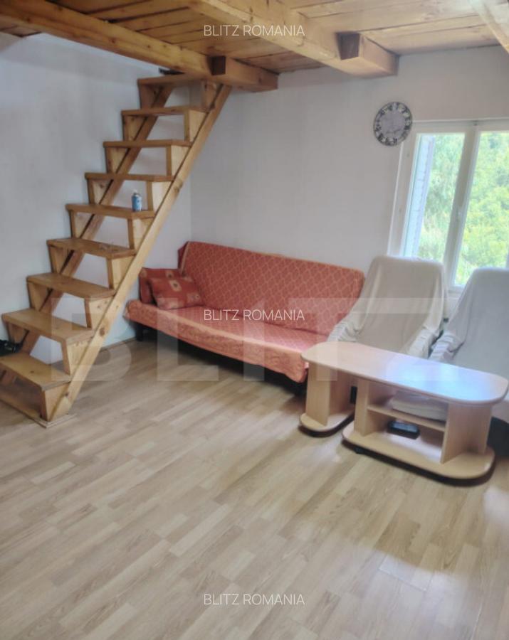 Cabana finalizata, cu teren Muntele Rece - 9