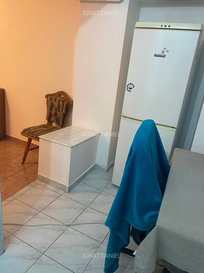 Apartament cu 1 camera, PET FRIENDLY, zona Centru-Palas Mall - 4