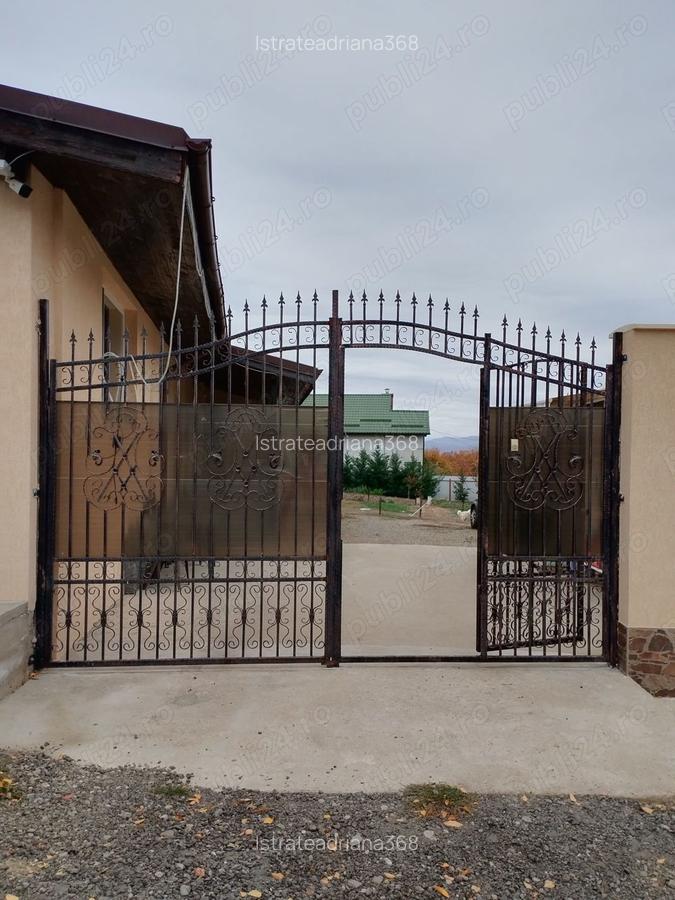Vand casa SECIU PH - 6